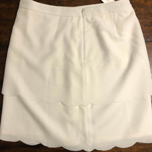 NWT- Ann Taylor Skirt - Picture 2 of 2